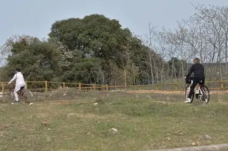 Photo de Ãrea recreativa de Alcohete