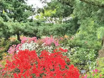 Arboretum Het Leen