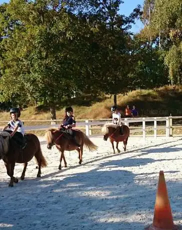 Poney club de l'Ile Saint-Germain