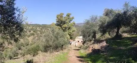 Photo de Cortijo de la Palomera.