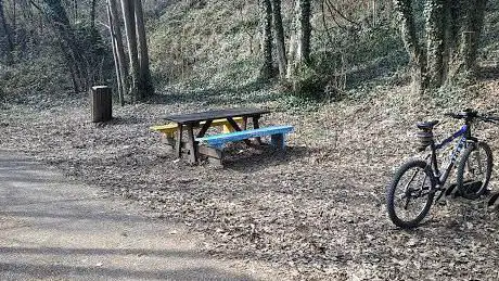 Area picnic