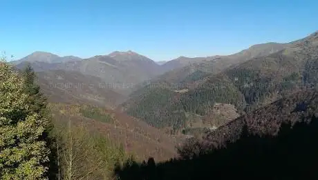Insubric line view