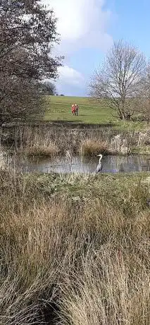 Billesley Common