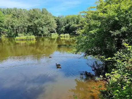 Alkrington Woods Nature Reserve