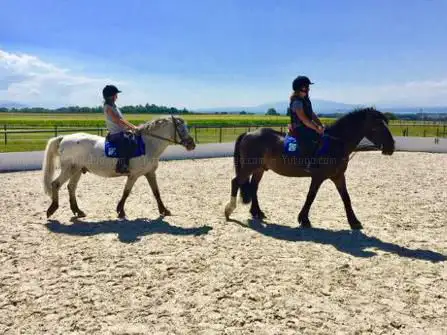 Photo de Manège et Poneyclub de Begnins