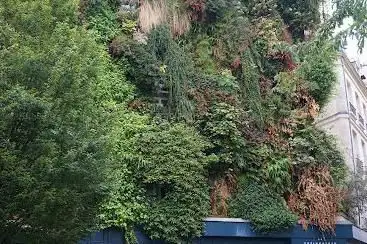 Photo de Vertical Garden