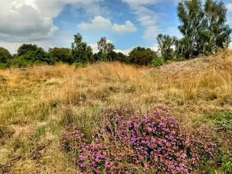 Photo de Sherwood Heath Local Nature Reserve