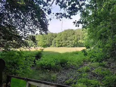 Heibos