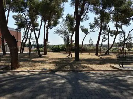 Photo de Pineta Comunale