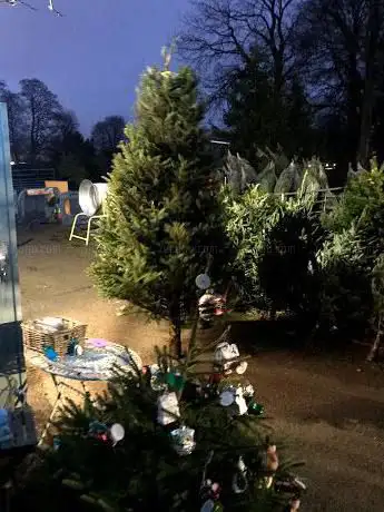 Brookleigh Farm Quality Christmas Trees