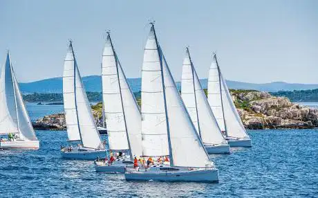Photo de Sailwiz: viajes en barco compartidos