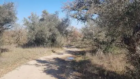 Photo de Ruta Valdeniebla