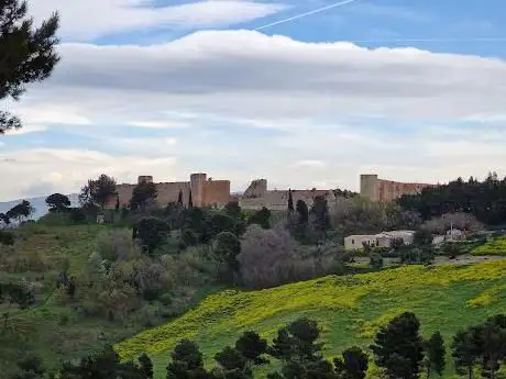 Photo de Boschetto di Colle Belvedere
