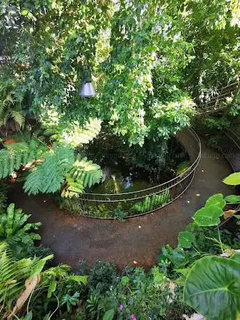 Photo de Serra tropicale MuSe