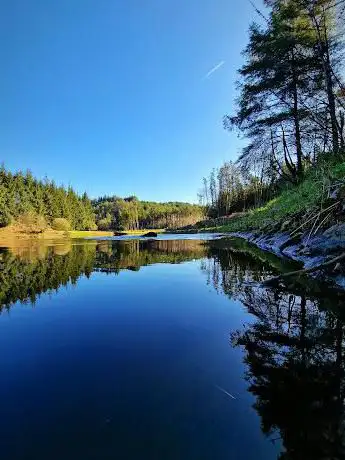 Photo de The Wader