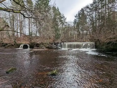 Photo de Gore Glen Woodland Park