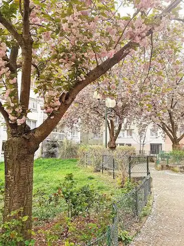 Photo de Jardin du Moulin-de-la-Vierge