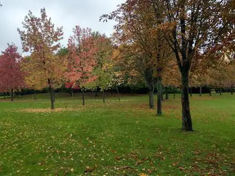 Photo de Terrain de Cricket d'Epinay-sur-Seine