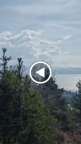 Panoramica del Lago