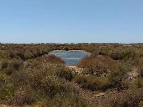 Photo de Mirador Caño del Tendal
