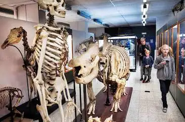 musée de zoologie Auguste Lameere