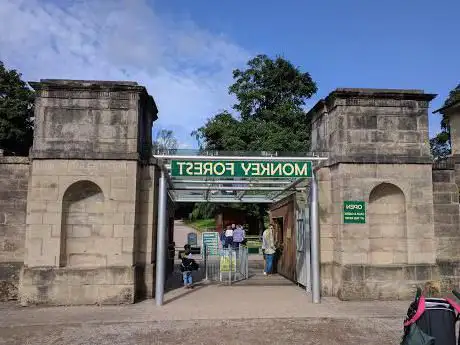 Photo de Trentham Monkey Forest