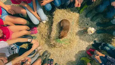 Photo de La Ferme des Fosses