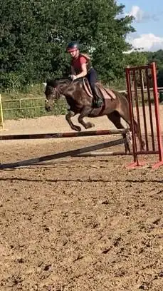 Photo de Centre Equestre de Milly