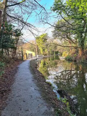 Swansea Canal Local Nature Reserve