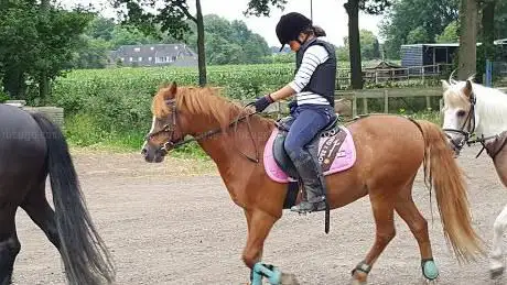 Photo de Ponyclub de Doorzettertjes