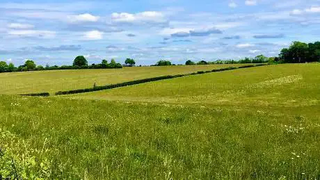 Barton Meadows