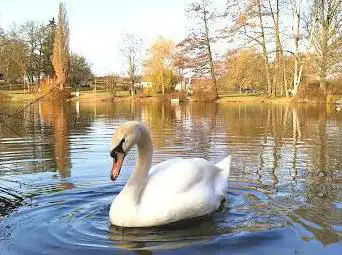 Furpacher Weiher