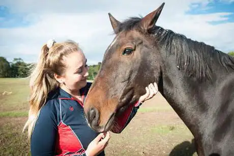 Photo de Apples Equestrian