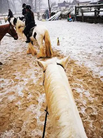 AGM équitation Corbreuse