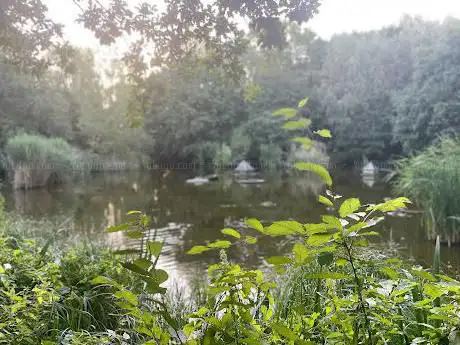 Photo de Globe Pond Nature Reserve