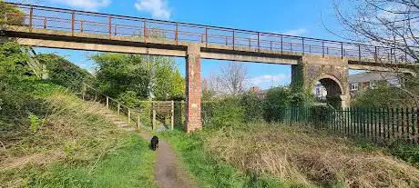 Photo de Hereford Road Nature Reserve