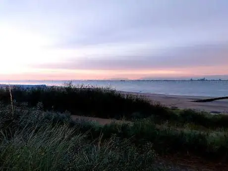 Vogeltelpost Breskens