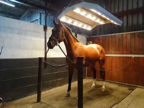 Eland Lodge Equestrian Centre