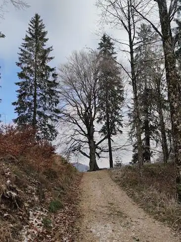 Belchen-Süd