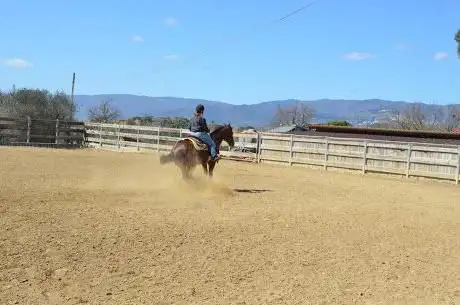 Photo de Meacci Reining Horses