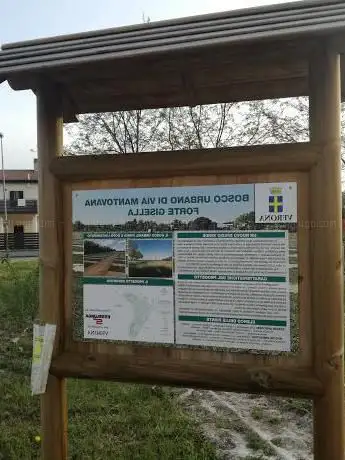 Bosco Urbano FORTE GISELLA