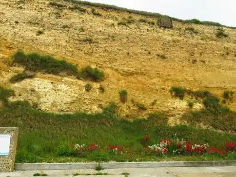 Photo de Undercliff Walk