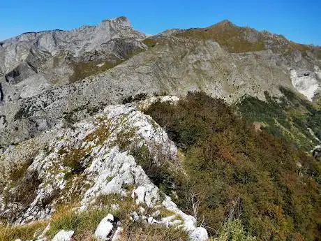 Monte Dei Ronchi