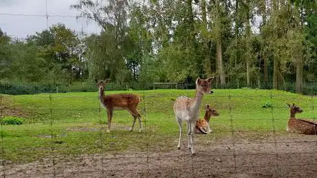 Hertenpark