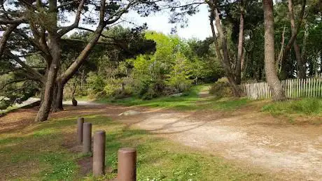 Photo de Porzou Woods