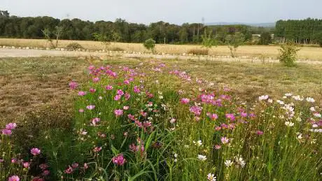 Photo de Parc d'en Grau - Arrels de Natura