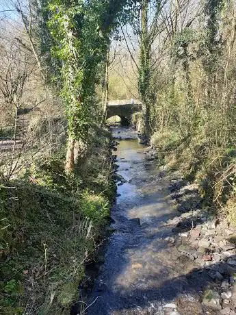 Mill Lane Nature Reserve