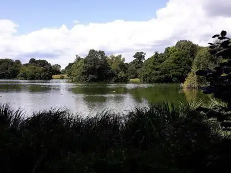 The Lake