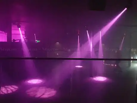 Photo de Jungle Nightclub