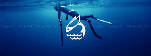 Photo de FLYINGFISH SPEARFISHING